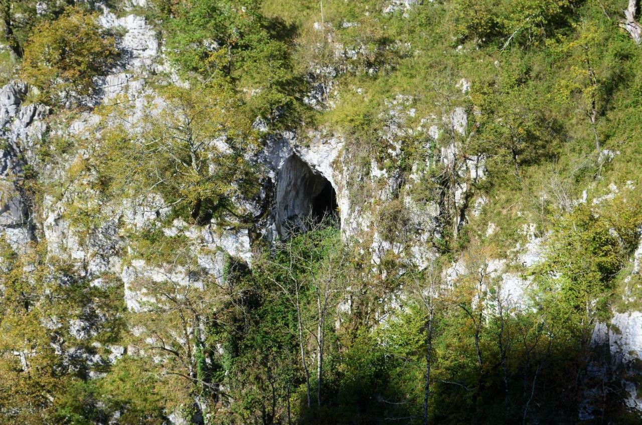 Le Gite Des Mousquetaires Lanne-en-Baretous ภายนอก รูปภาพ
