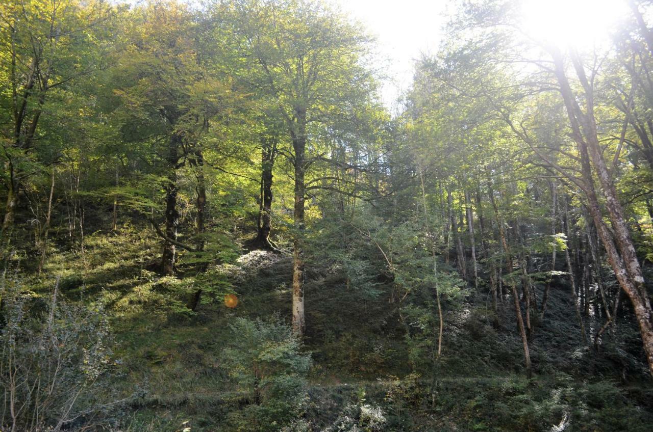 Le Gite Des Mousquetaires Lanne-en-Baretous ภายนอก รูปภาพ